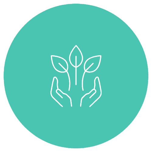 FCSS Values - Nurture and Learn